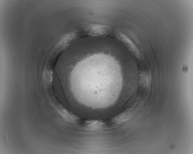 X0000097630621200803071532