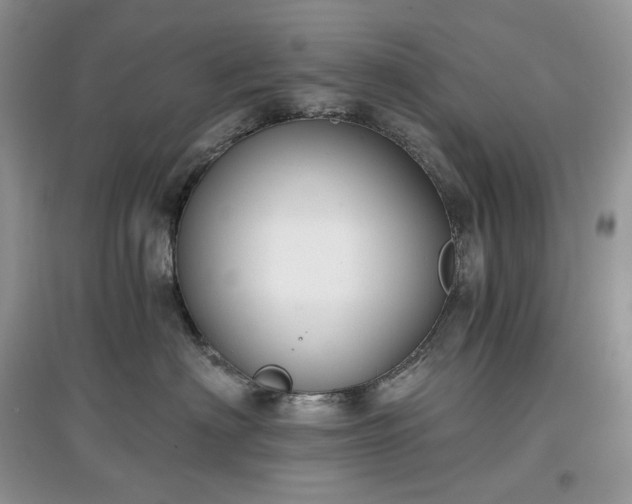 X0000097630622200803071532