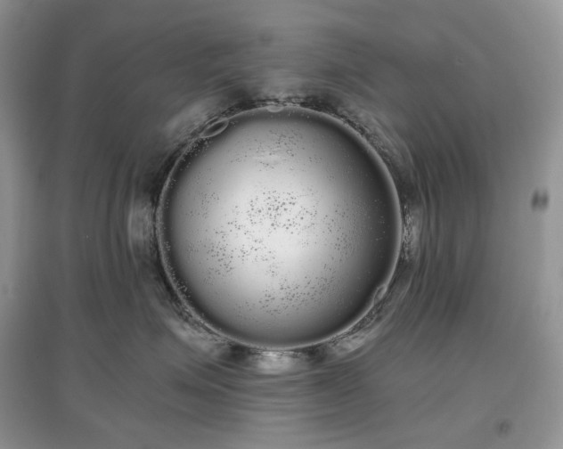 X0000097630623200803071532