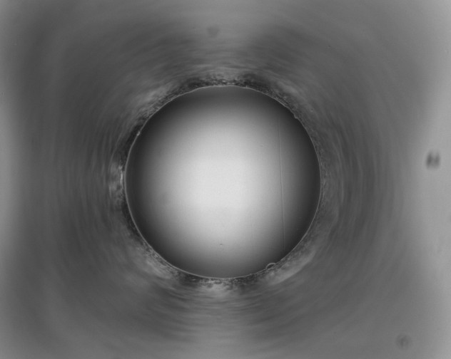 X0000097630624200803071532