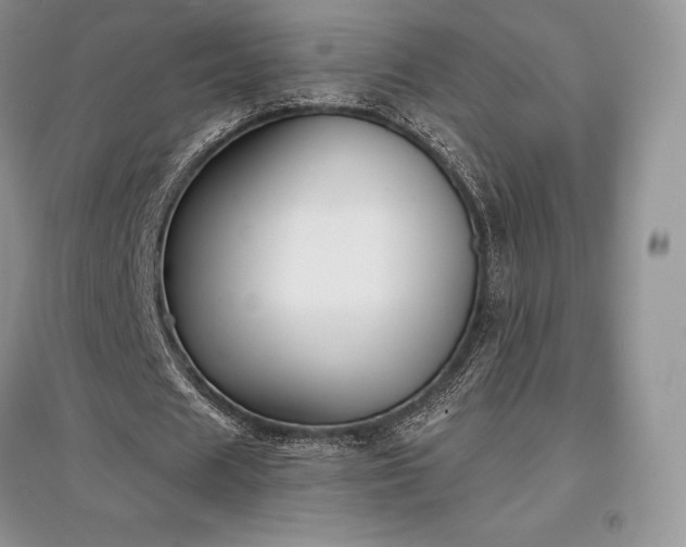 X0000097630625200803071531