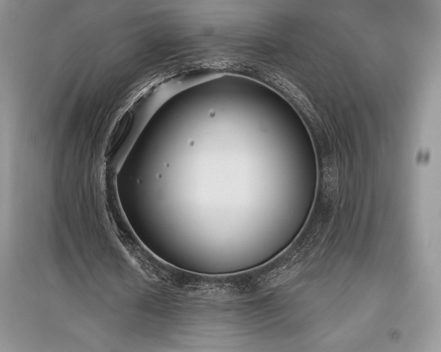 X0000097630626200803071531