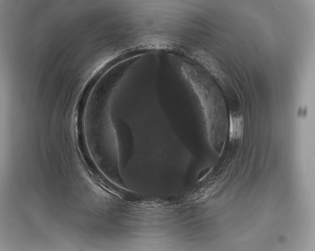 X0000097630627200803071531