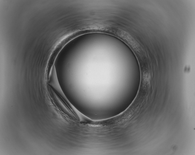 X0000097630628200803071531