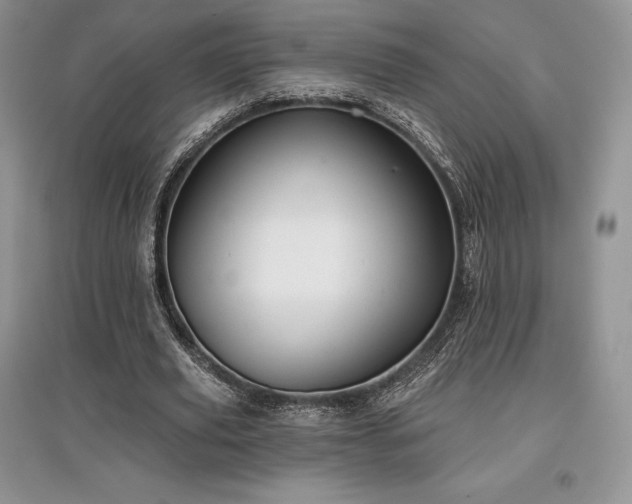 X0000097630629200803071531