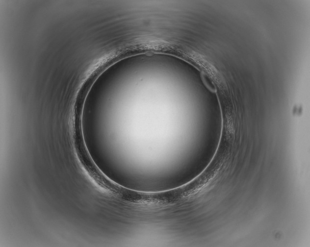 X0000097630630200803071531