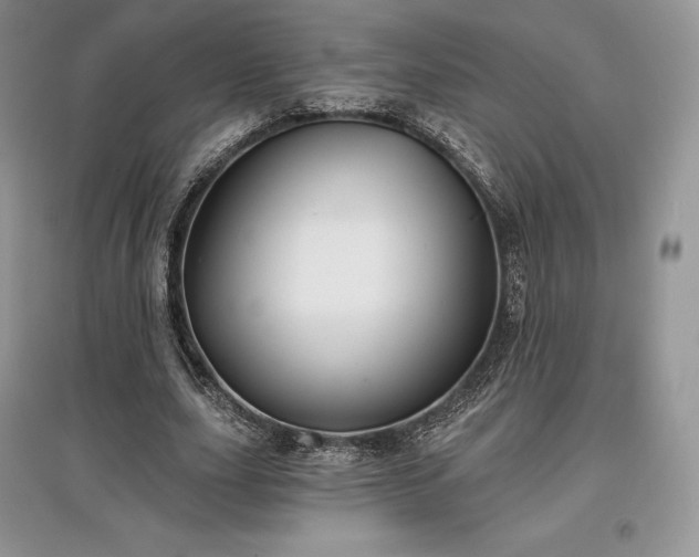 X0000097630631200803071531