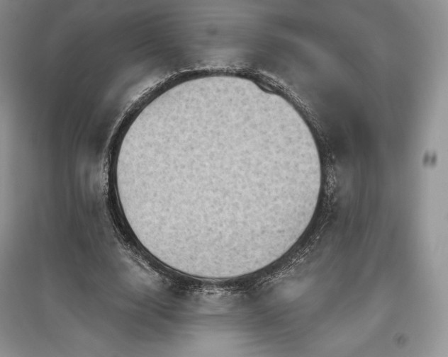 X0000097630632200803071531