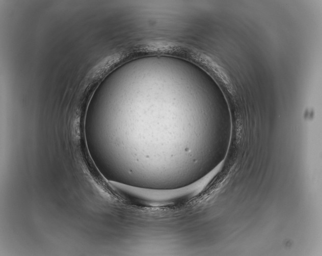 X0000097630633200803071531