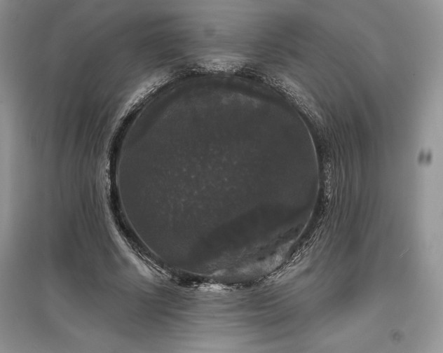 X0000097630634200803071531