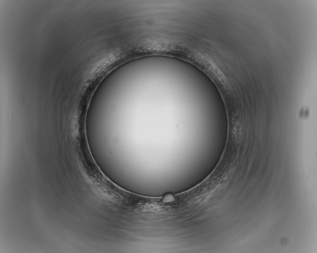 X0000097630635200803071531