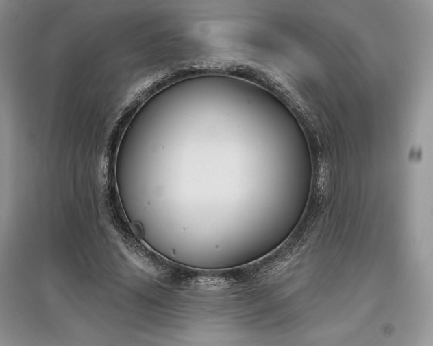 X0000097630636200803071531