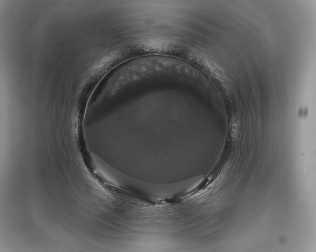 X0000097630637200803071531