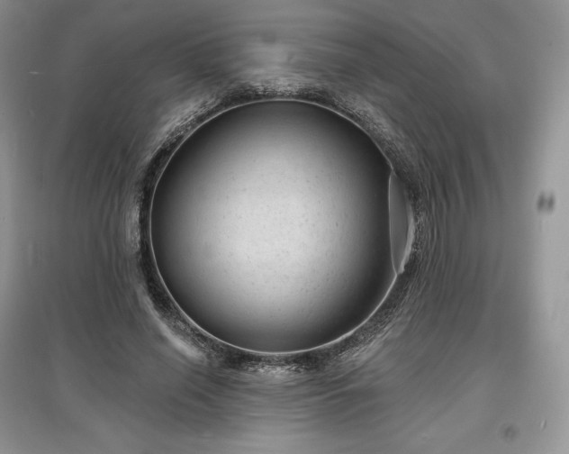 X0000097630638200803071531