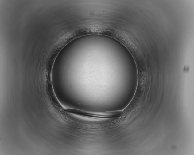 X0000097630639200803071531