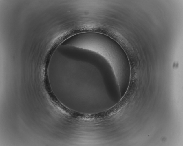 X0000097630640200803071531