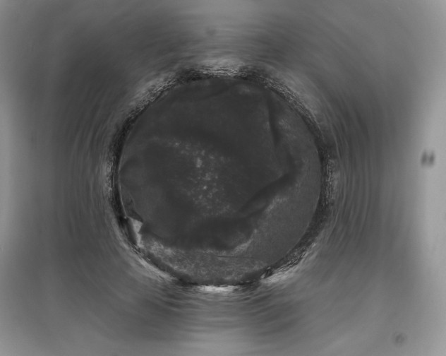 X0000097630641200803071532