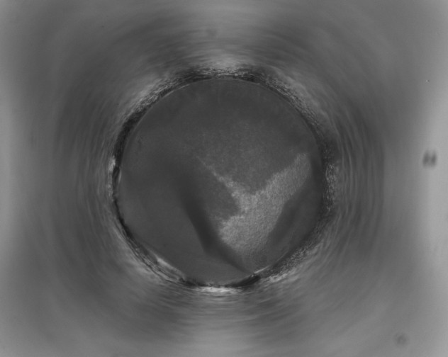 X0000097630642200803071532