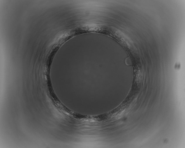 X0000097630643200803071532