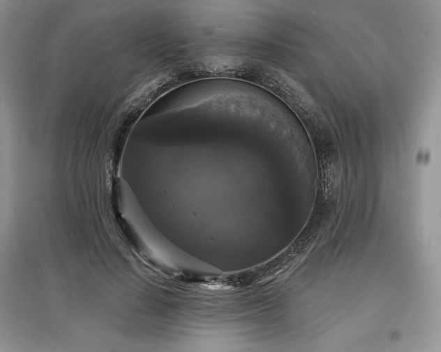 X0000097630644200803071532