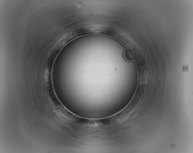 X0000097630646200803071532