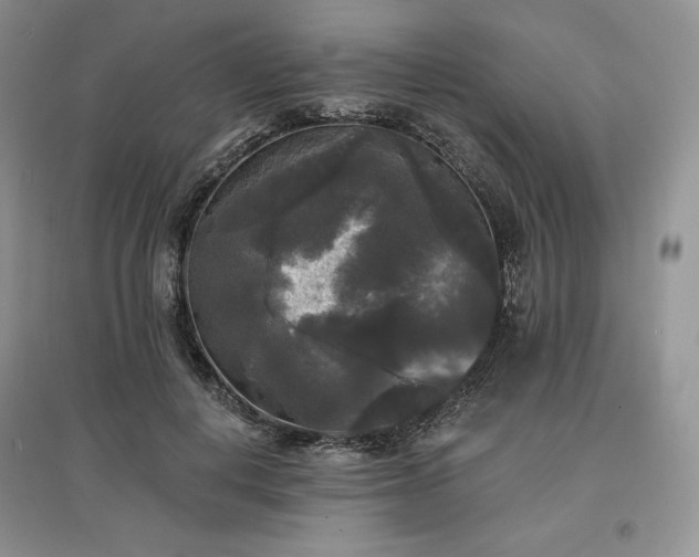 X0000097630648200803071532