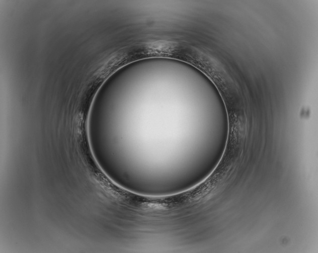 X0000097630649200803071532