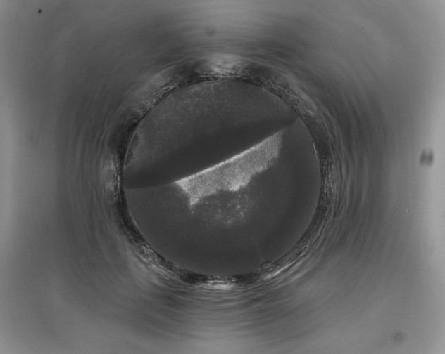 X0000097630651200803071532