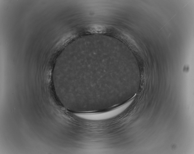 X0000097630652200803071532