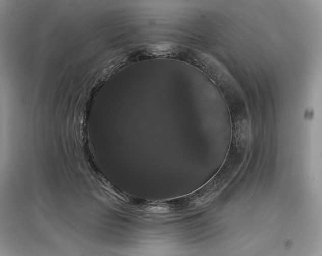 X0000097630653200803071532