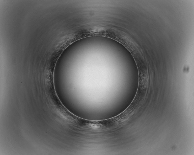 X0000097630654200803071532