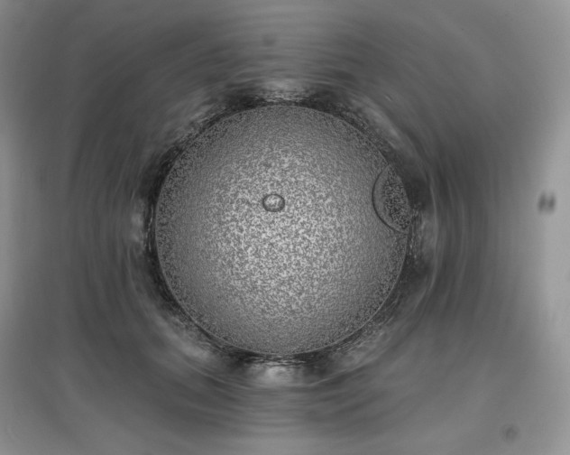 X0000097630655200803071532