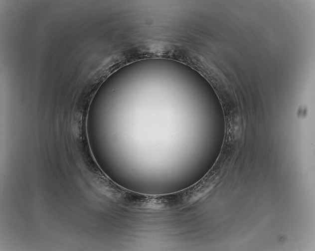 X0000097630656200803071532