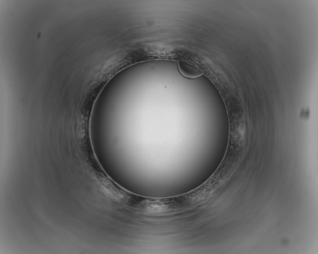 X0000097630658200803071532