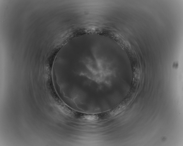 X0000097630659200803071532