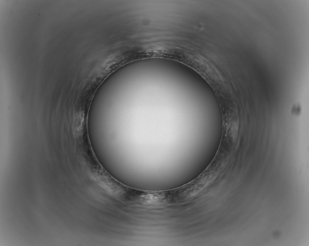 X0000097630660200803071532