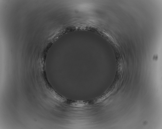 X0000097630661200803071532