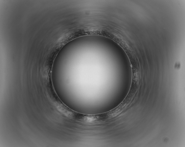 X0000097630662200803071532