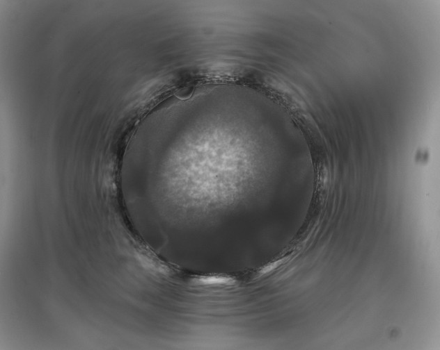 X0000097630663200803071532