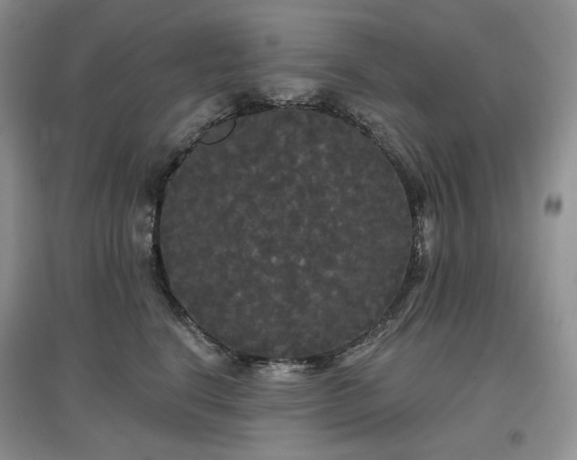 X0000097630664200803071532