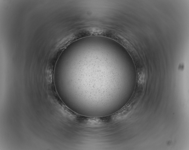 X0000097630666200803071532