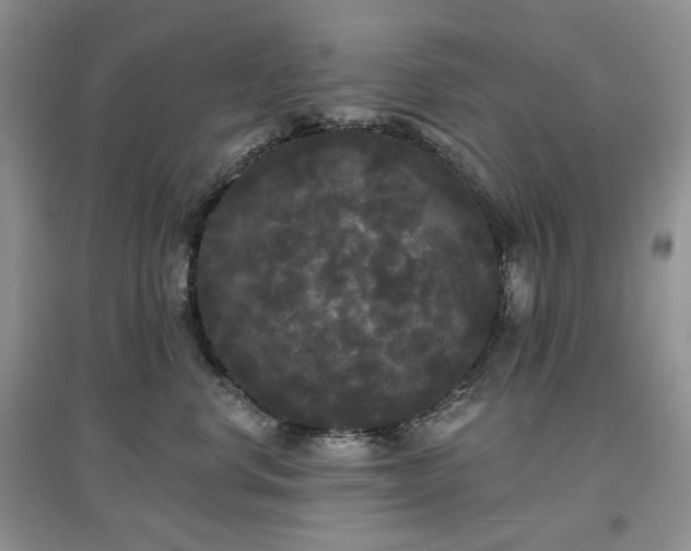 X0000097630668200803071532