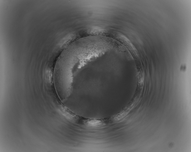 X0000097630669200803071532