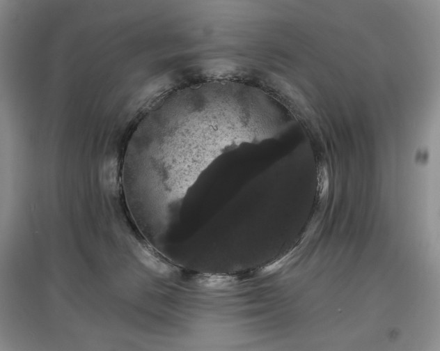 X0000097630670200803071532