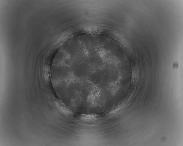 X0000097630671200803071532