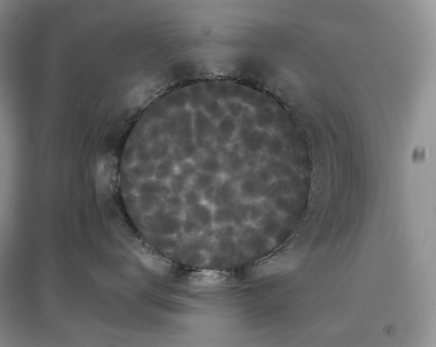 X0000097630672200803071532