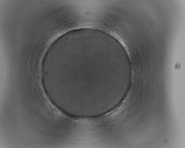 X0000097630673200803071531