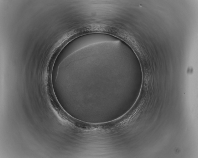 X0000097630674200803071531