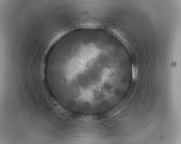 X0000097630675200803071531