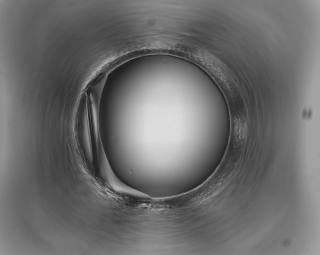 X0000097630676200803071531